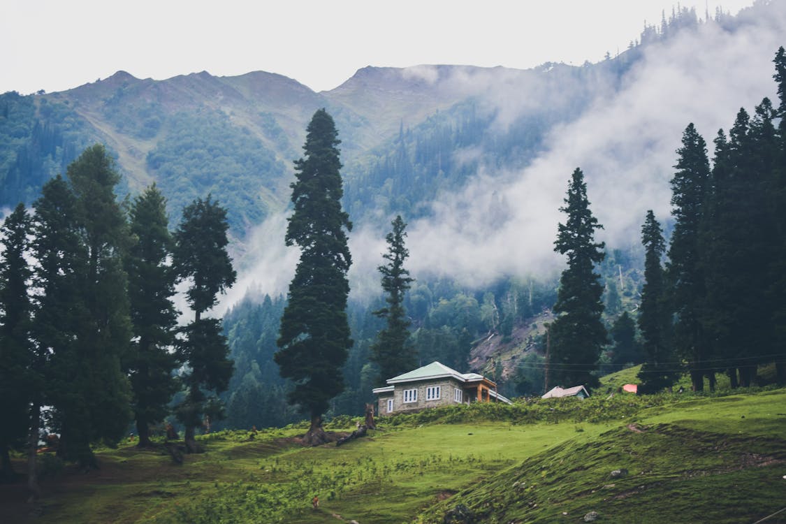 6 Nights - 7 Days Kashmir Package